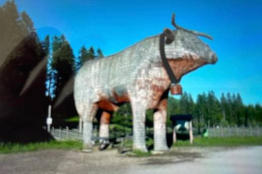 Ein Bild, das Himmel, Säugetier, draußen, Dinosaurier enthält.  Automatisch generierte Beschreibung